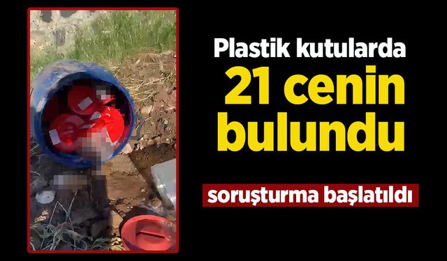 Plastik kutularda 21 cenin bulundu