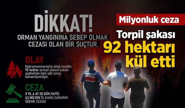 Torpil şakası 92 hektarı kül etti