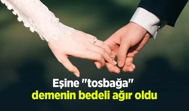 Eşine "tosbağa" demenin bedeli ağır oldu