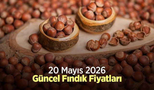 20 Mayıs 2026 Güncel Fındık Fiyatları