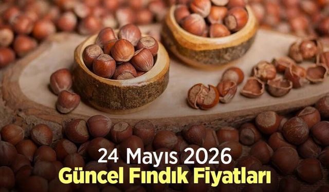 24 Mayıs 2026 Güncel Fındık Fiyatları