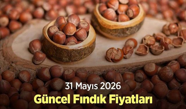 31 Mayıs 2026 Güncel Fındık Fiyatları