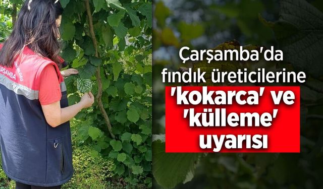 Çarşamba'da fındık üreticilerine 'kokarca' ve 'külleme' uyarısı