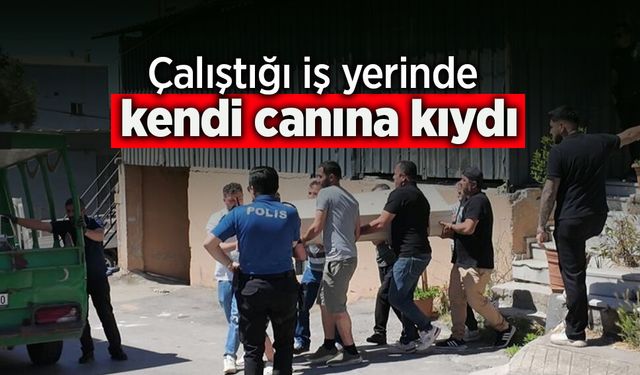 Asayiş