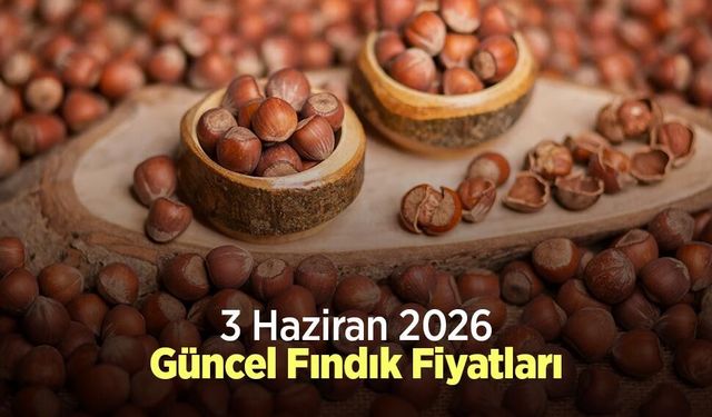 3 Haziran 2026 Güncel Fındık Fiyatları