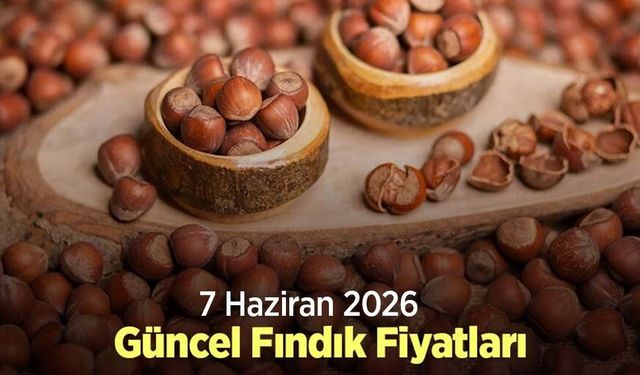 7 Haziran 2026 Güncel Fındık Fiyatları