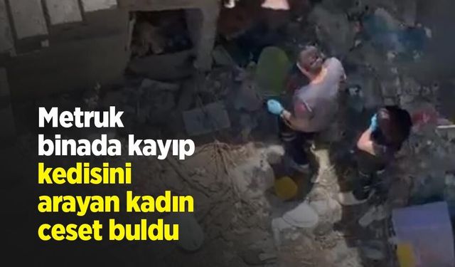 Asayiş