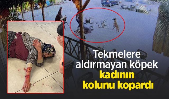 Asayiş