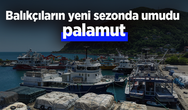 Balıkçıların yeni sezonda umudu palamut