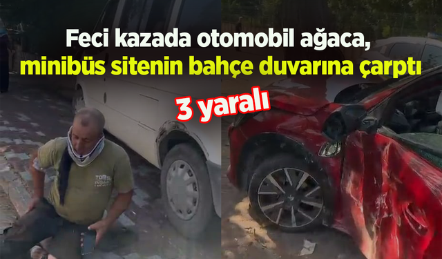 Feci kazada otomobil ağaca,  minibüs sitenin bahçe duvarına çarptı