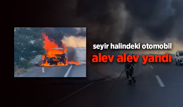 Asayiş
