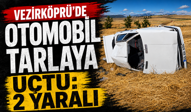 Vezirköprü'de otomobil tarlaya uçtu: 2 yaralı