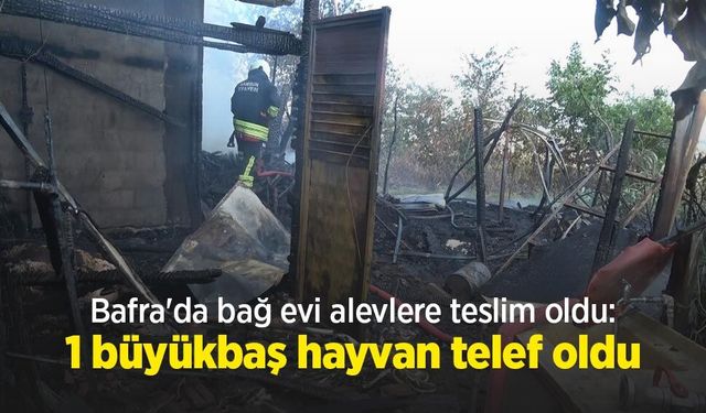 Bafra'da bağ evi alevlere teslim oldu: 1 büyükbaş hayvan telef oldu