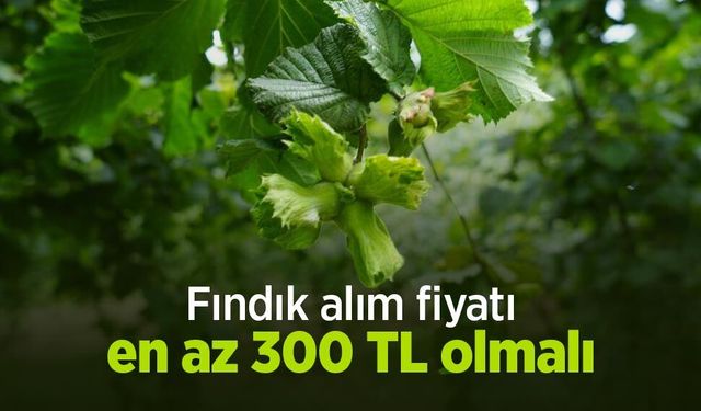 Aydemir: "Fındık alım fiyatı en az 300 TL olmalı"