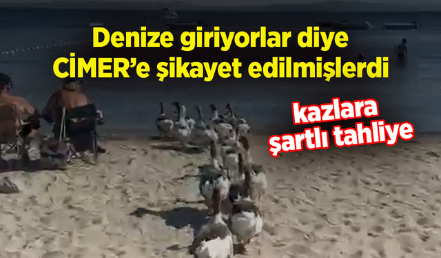 Denize giriyorlar diye  CİMER’e şikayet edilmişlerdi