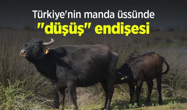 Türkiye'nin manda üssünde "düşüş" endişesi