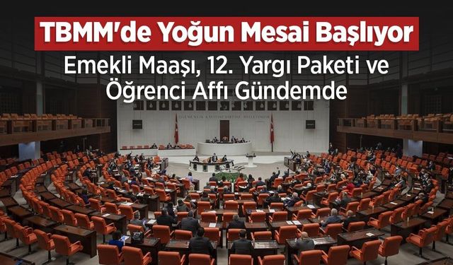 TBMM'de Yoğun Mesai Başlıyor: Emekli Maaşı, 12. Yargı Paketi ve Öğrenci Affı Gündemde