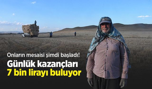 Onların mesaisi şimdi başladı! Günlük kazançları 7 bin lirayı buluyor