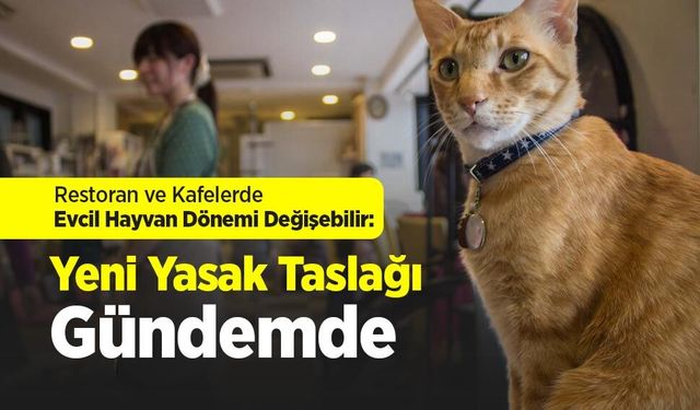 Restoran ve Kafelerde Evcil Hayvan Dönemi Değişebilir: Yeni Yasak Taslağı Gündemde
