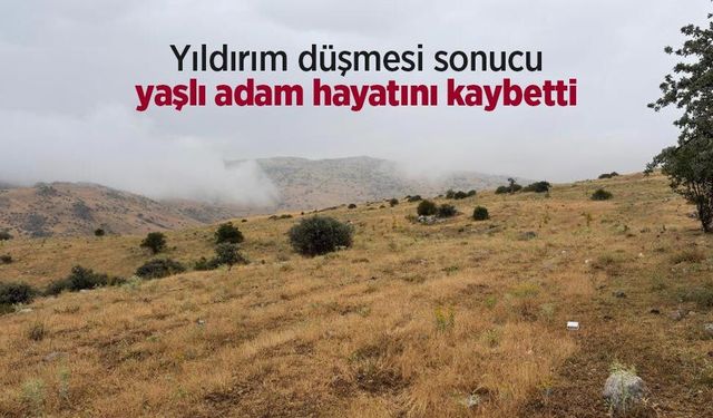 Asayiş