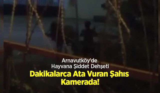 Asayiş
