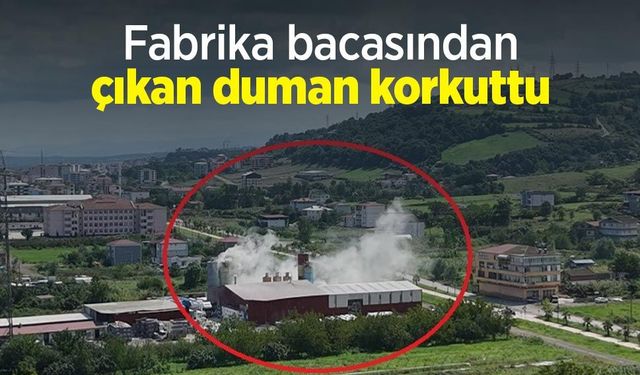 Fabrika bacasından çıkan duman korkuttu