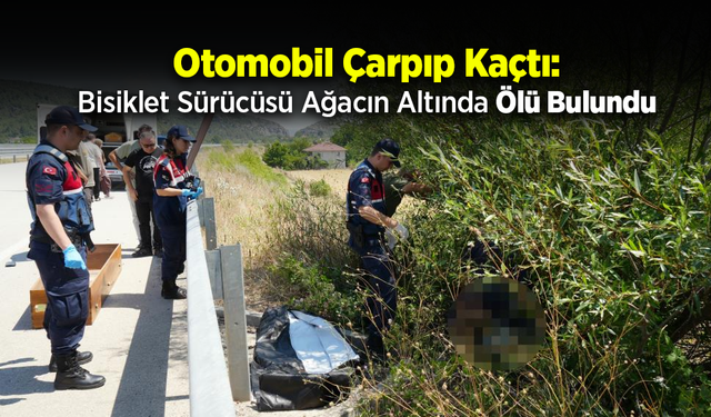 Asayiş