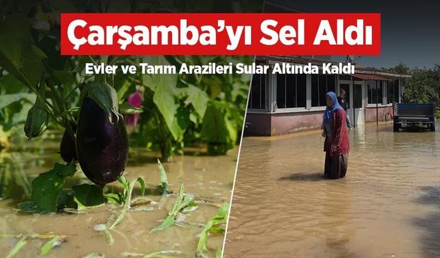 Çarşamba’yı Sel Aldı: Evler ve Tarım Arazileri Sular Altında Kaldı