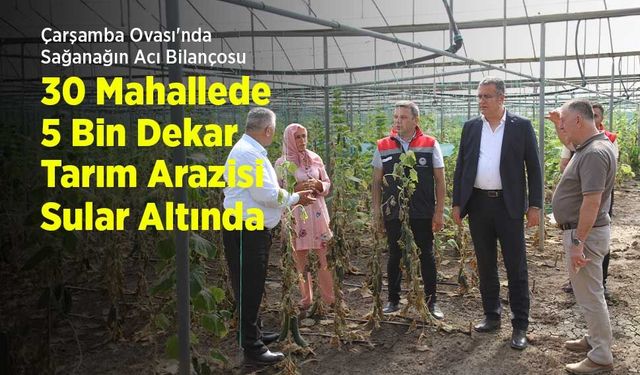 Çarşamba Ovası'nda Sağanağın Acı Bilançosu: 30 Mahallede 5 Bin Dekar Tarım Arazisi Sular Altında Kaldı!