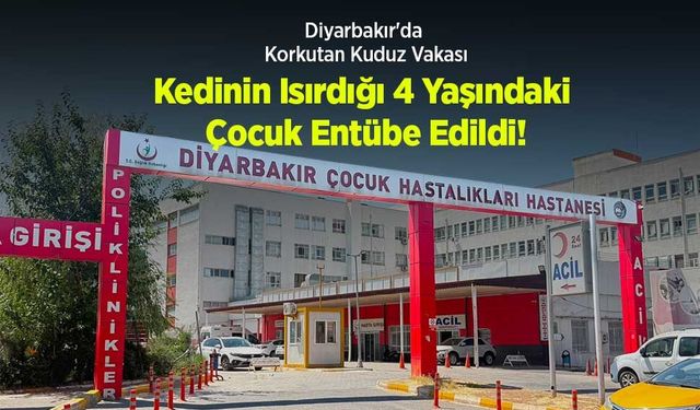 Asayiş