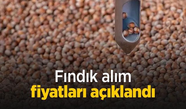 Fındık alım fiyatları açıklandı