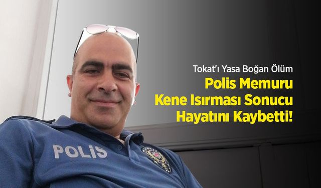 Asayiş