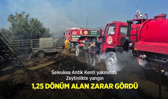 Asayiş
