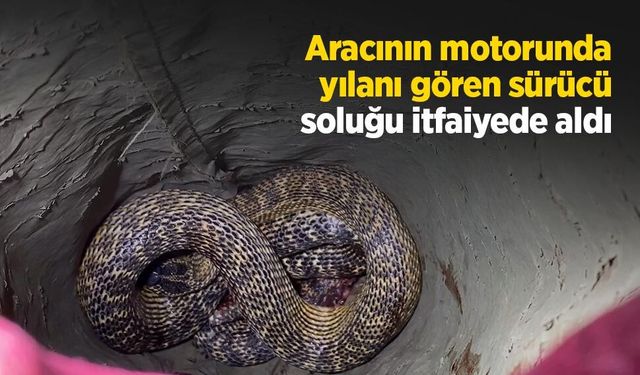 Aracının motorunda yılanı gören sürücü soluğu itfaiyede aldı