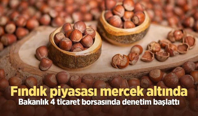 Fındık piyasası mercek altında: Bakanlık 4 ticaret borsasında denetim başlattı
