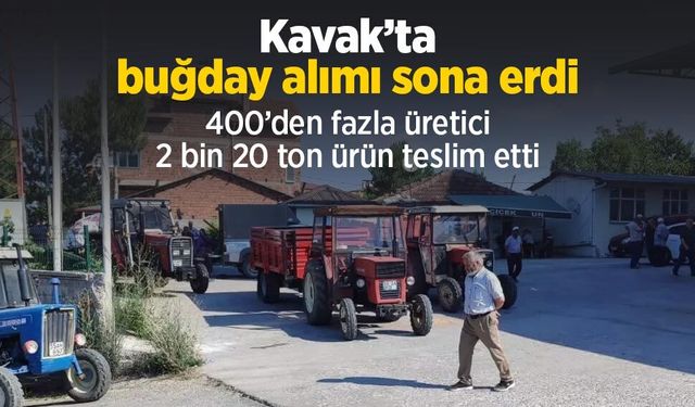 Kavak’ta buğday alımı sona erdi: 400’den fazla üretici 2 bin 20 ton ürün teslim etti
