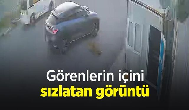 Asayiş