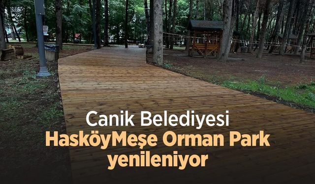 Canik Belediyesi Hasköy Meşe Orman Park yenileniyor
