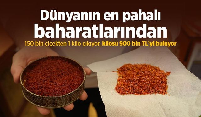 Dünyanın en pahalı baharatlarından: 150 bin çiçekten 1 kilo çıkıyor, kilosu 900 bin TL’yi buluyor