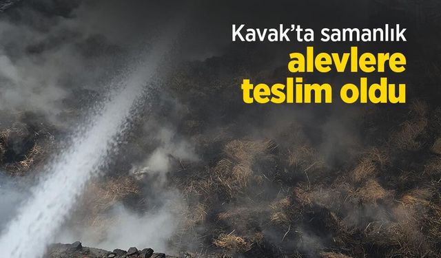 Samsun Haber
