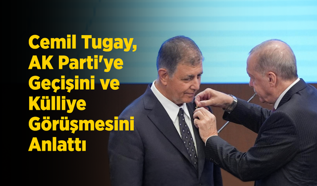 Siyaset