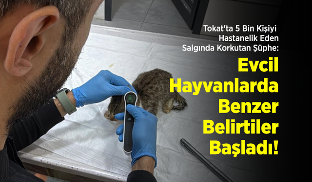 Tokat'ta 5 Bin Kişiyi Hastanelik Eden Salgında Korkutan Şüphe: Evcil Hayvanlarda da Benzer Belirtiler Başladı!