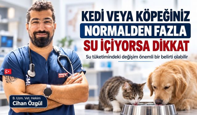 Sağlık