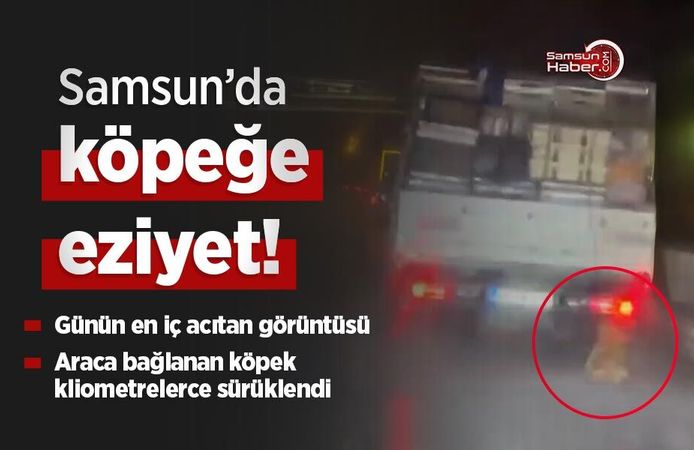 Samsun’da köpeğe eziyet görüntüsü tepki çekti