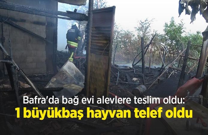 Bafra'da bağ evi alevlere teslim oldu: 1 büyükbaş hayvan telef oldu