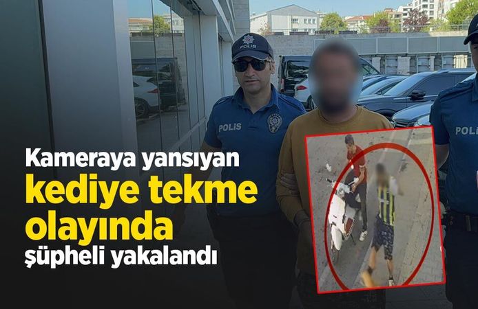 Kameraya yansıyan kediye tekme olayında şüpheli yakalandı