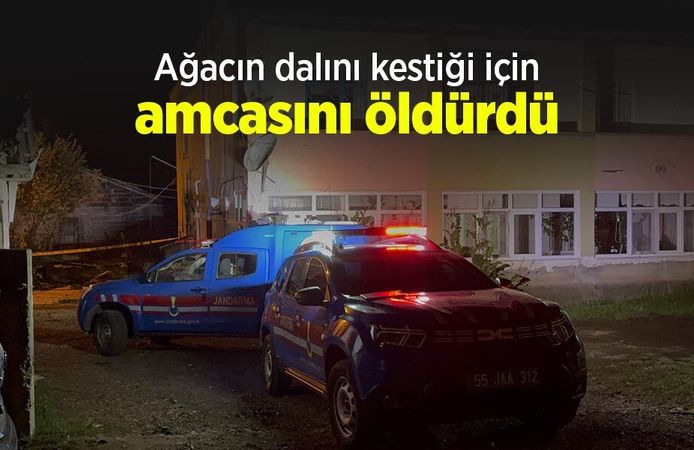Ağacın dalını kestiği için amcasını öldürdü