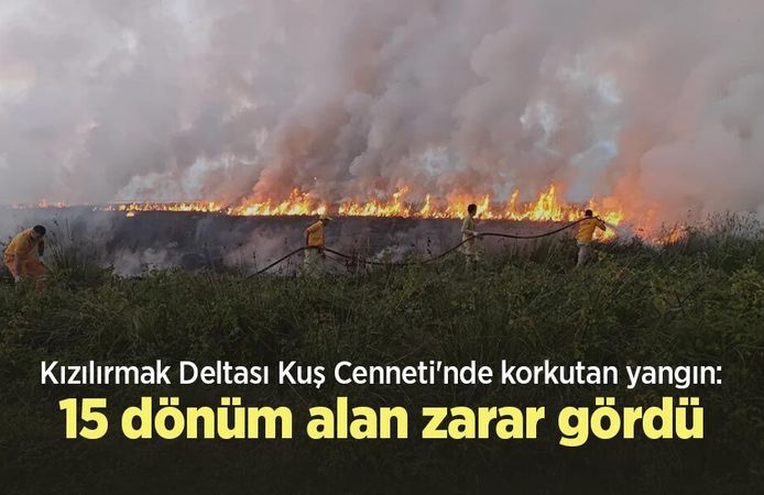 Kızılırmak Deltası Kuş Cenneti'nde korkutan yangın: 15 dönüm alan zarar gördü