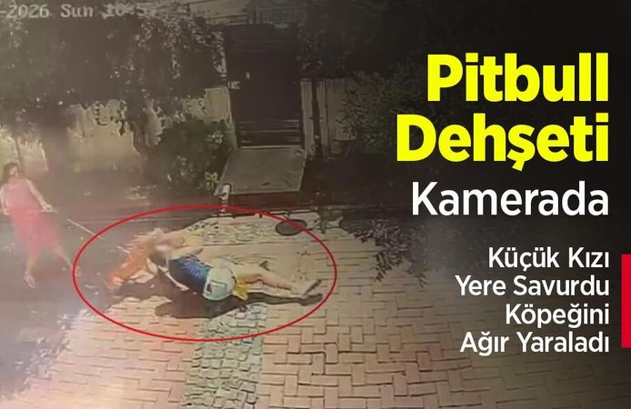 Pitbull Dehşeti Kamerada: Küçük Kızı Yere Savurdu, Köpeğini Ağır Yaraladı