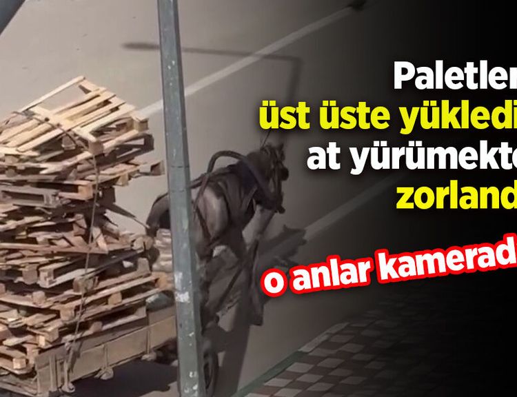 Paletleri üst üste yükledi, at yürümekte zorlandı